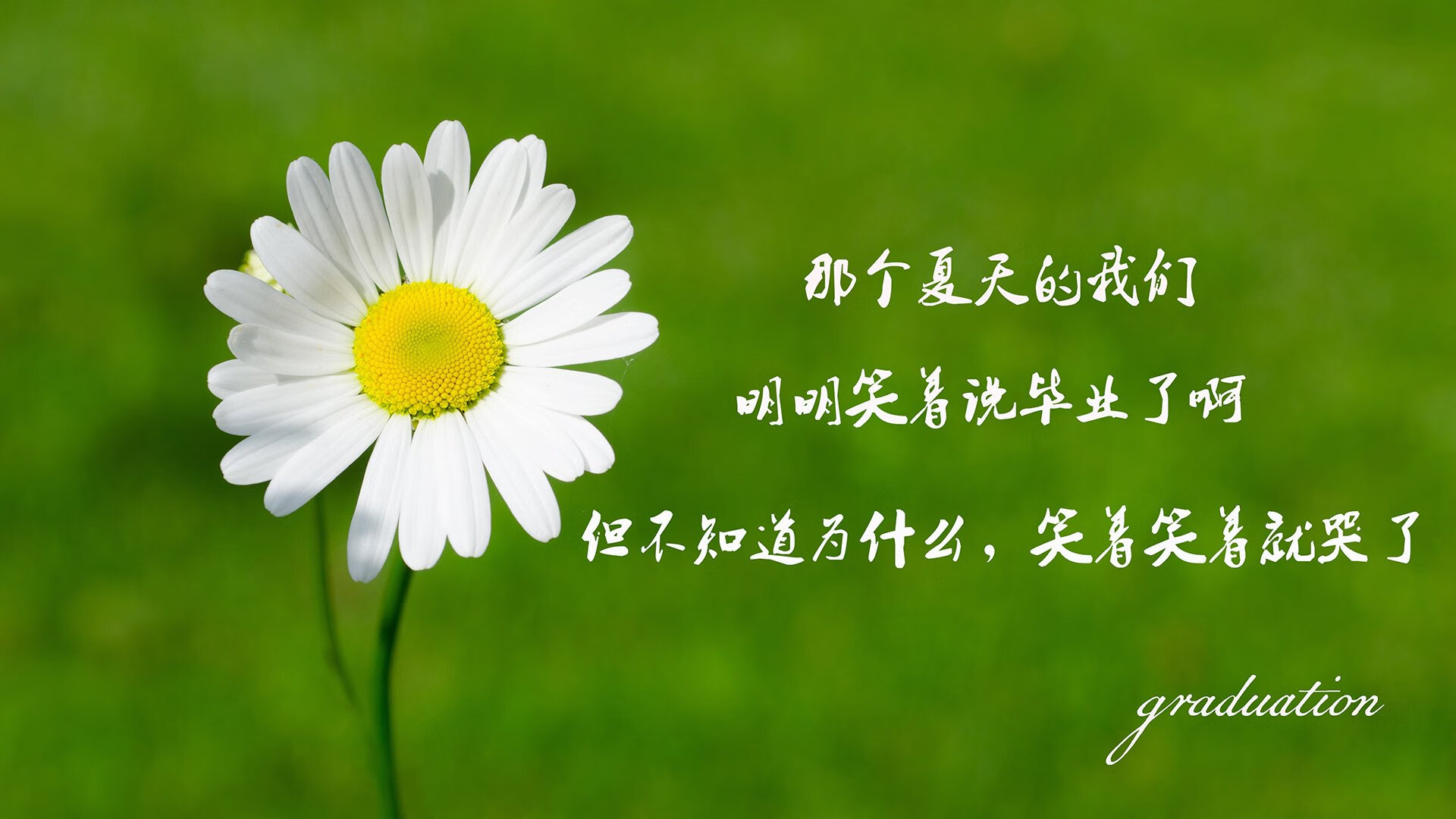 开云体育入口-【青训秘籍】培养青少年运动员的核心训练环节，青年运动员怎样进行营养补充