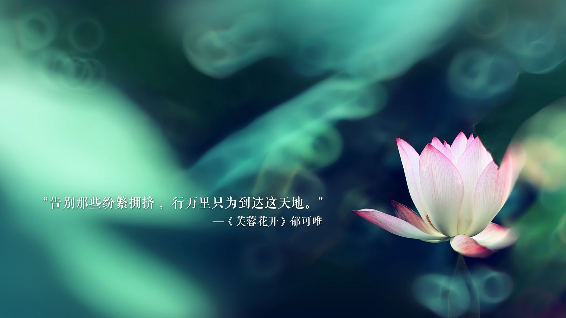 中国足球裁判申诉系统上线，裁判判罚透明度提升，中国足球裁判员注册系统