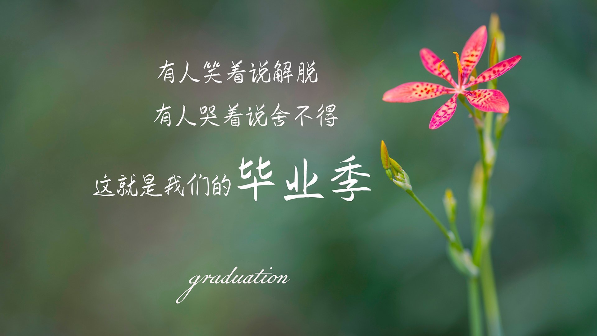 追求极限：车手如何准备每一次冲刺？，车手需要怎么训练