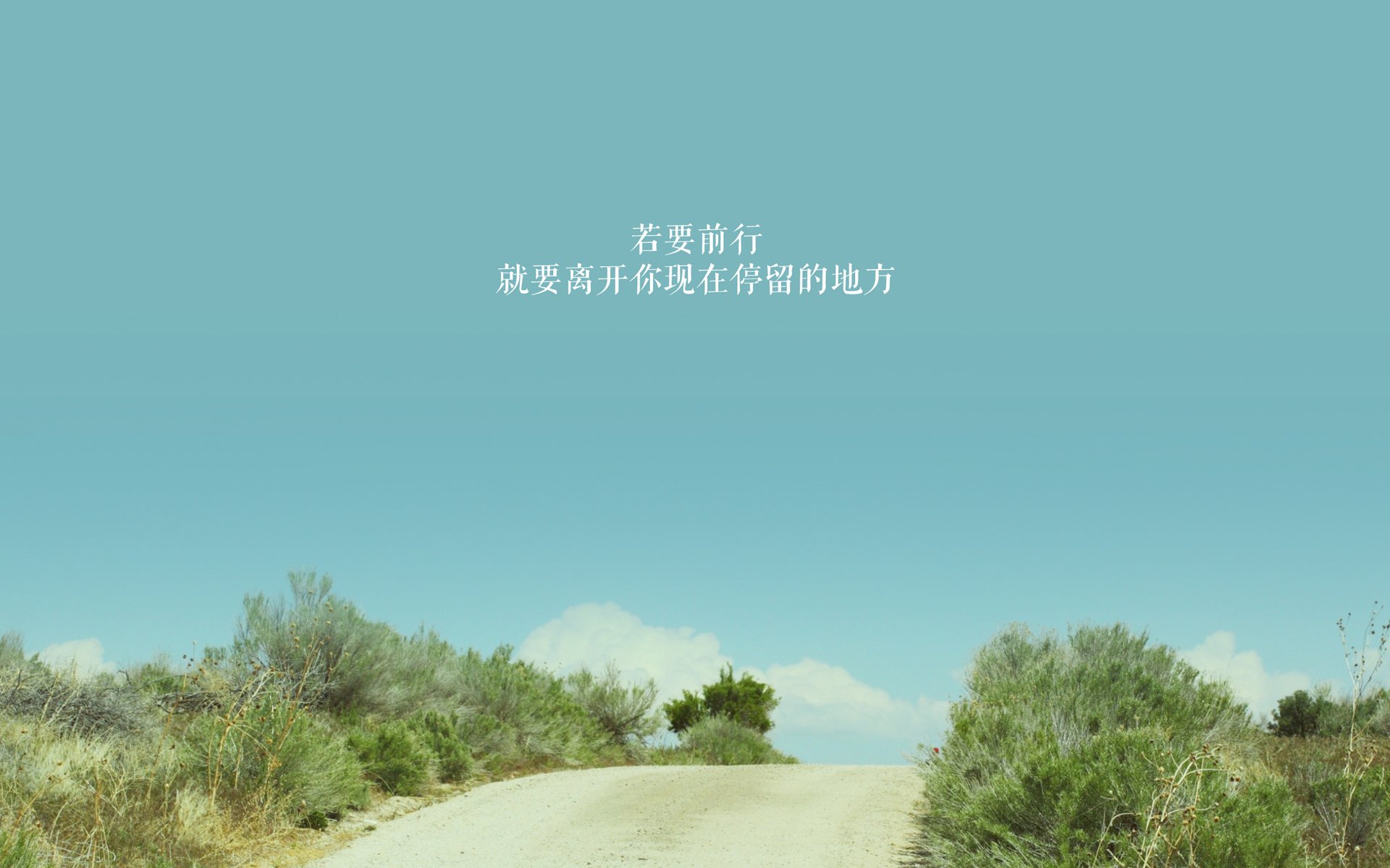保利斯塔关键比赛表现坚韧，圣保罗保利斯塔大道