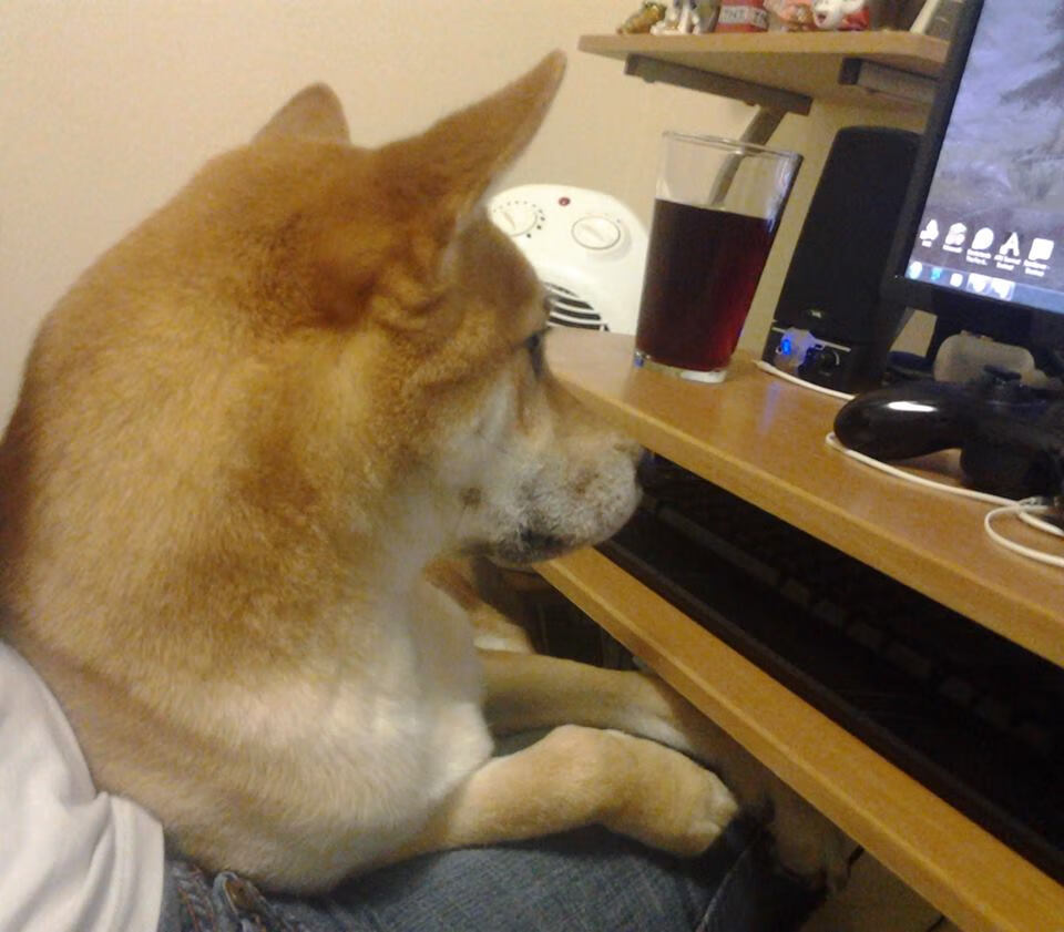 开云官方-意大利男子篮球队在三四名决赛中战胜美国队，意大利男篮nba