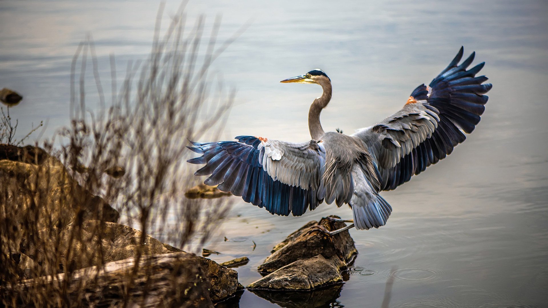 世界青年田径锦标赛中国队突破多项纪录，世界青年田径锦标赛中国队突破多项纪录