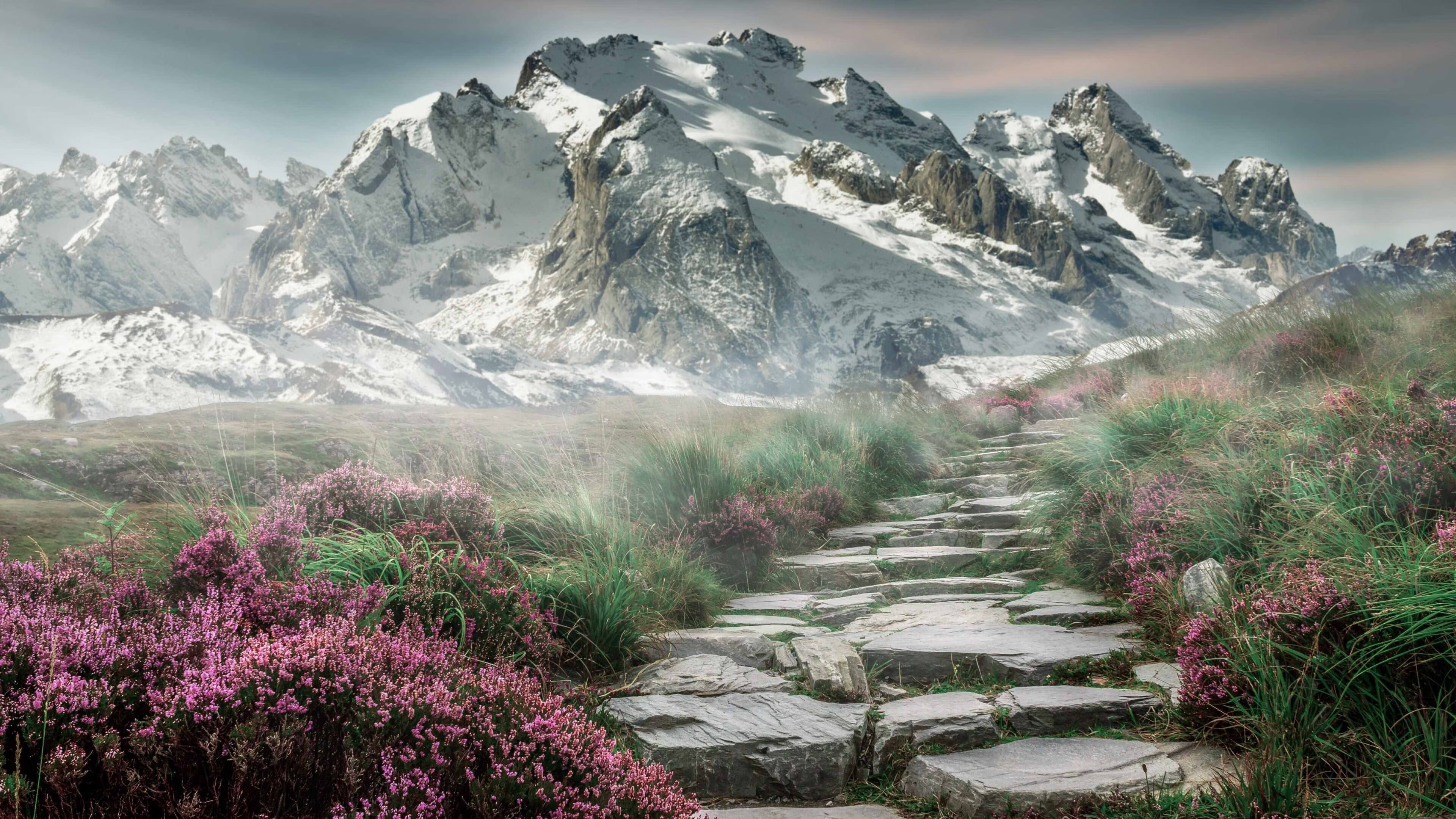 国足阵型变化与进球转化率统计，国足进攻