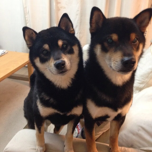 国足进攻端效率与节奏掌控相关性分析，国足技战术分析