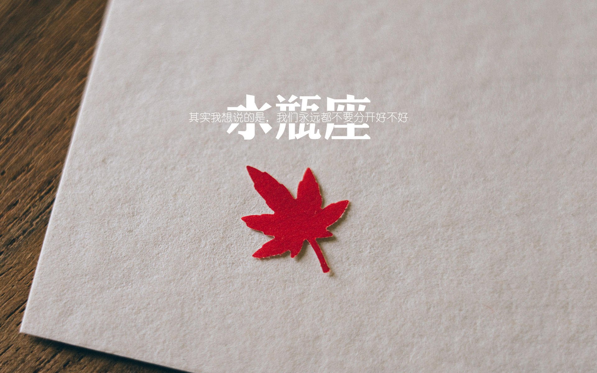 中国女篮教练组更新 注入更多战术理念，中国女篮教练组人员